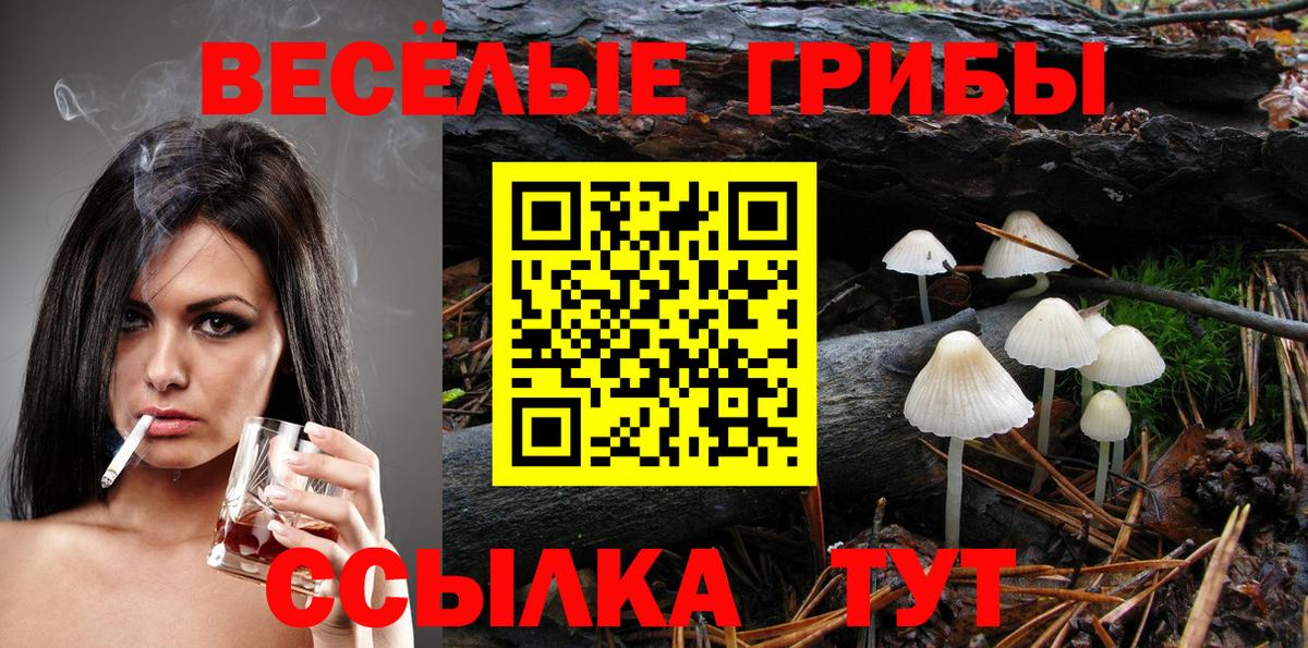 Усинск  Псилоцибиновые грибы Psilocybe  цена   Вход с VPN  Псилоцибиновые грибы MAGIC MUSHROOMS 